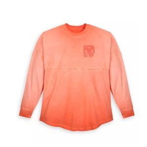 Walt Disney World Spirit Jersey